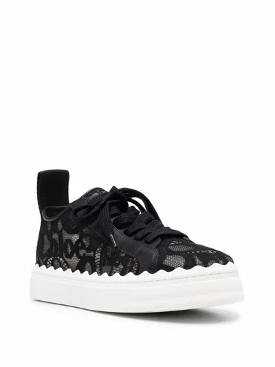 Shop Chloé Sneakers In Black