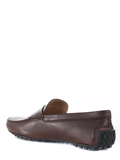 Shop Tod's Loafer In Brown