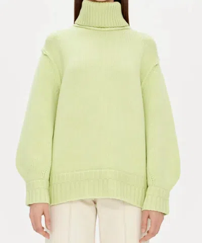 Shop Jonathan Simkhai Leylani Turtleneck Sweater In Light Green