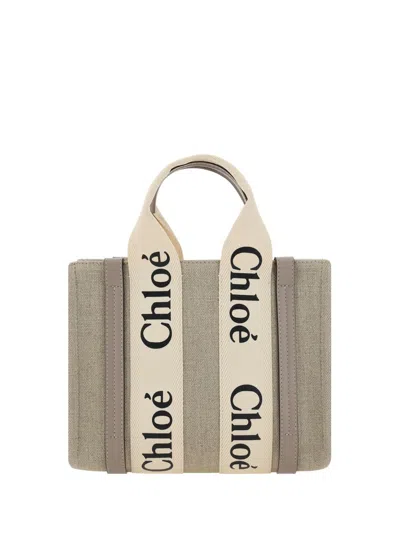 Shop Chloé Chloè Bags In Musk Grey