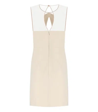 Shop Elisabetta Franchi Butter Dress With Tulle In White