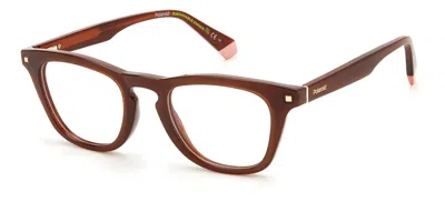 Shop Polaroid Eyeglasses In Brown
