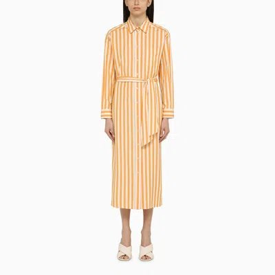 Shop Weekend Max Mara White Striped Cotton Chemisier Dress In Orange