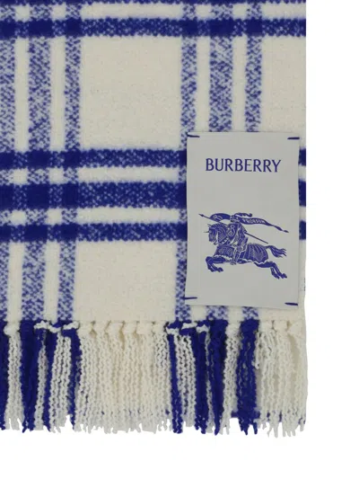 Shop Burberry Scarves In Knight