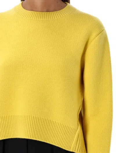 Shop Lanvin Crewneck Sweater In Sun Flower