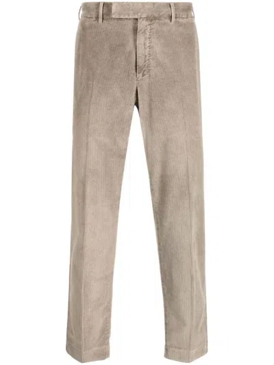 Shop Pt01 Rebel Stretch Velvet Trousers Clothing In Grey