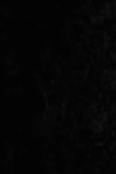 10 Corso Como Sleeveless Coat In Black