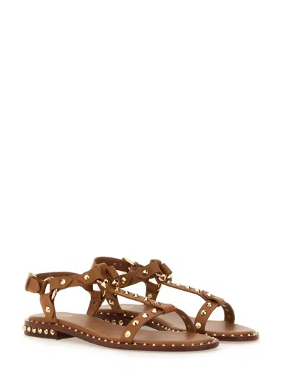 Ash Patsy Stud-embellished Sandals In Brown