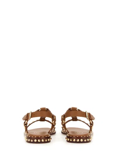 Ash Patsy Stud-embellished Sandals In Brown