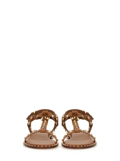 Ash Patsy Stud-embellished Sandals In Brown