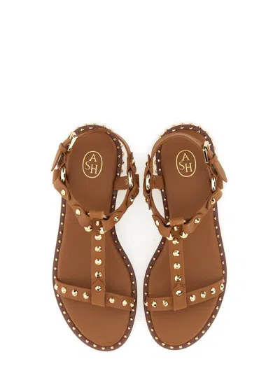 Ash Patsy Stud-embellished Sandals In Brown