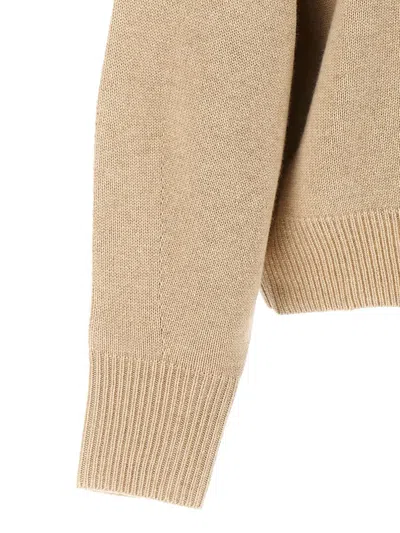 Isabel Marant Beige Aspen Turtleneck In Beige
