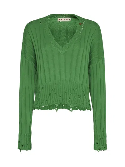 Shop Marni Sweaters In Moss