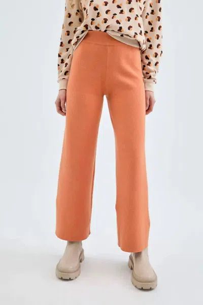 Shop Compañía Fantástica Straight Leg Pants In Orange