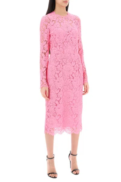 Shop Dolce & Gabbana Midi Dress In Floral Cordonnet Lace Women In Pink