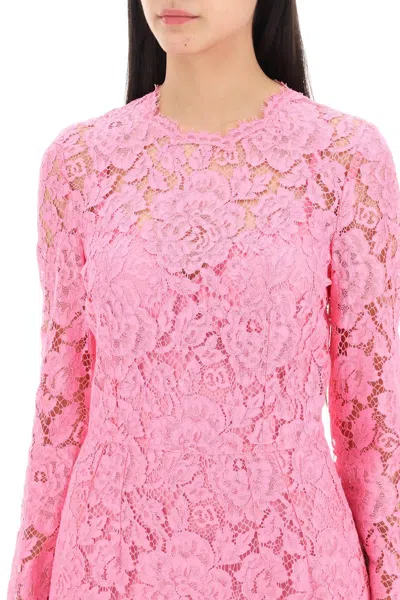 Shop Dolce & Gabbana Midi Dress In Floral Cordonnet Lace In 粉色的