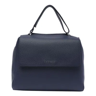 Shop Orciani Bags In Blue