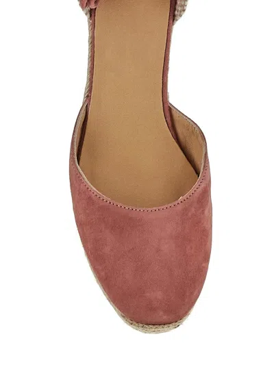 Shop Castaã±er Carina Shoe In Pink