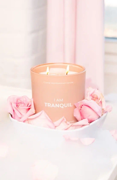 Shop Jill & Ally Tranquil Rose Quartz Crystal Intention Candle In Cinnamon