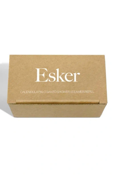 Shop Esker Aromatic Shower Steamer & Marble Holder