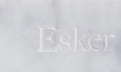 Shop Esker Aromatic Shower Steamer & Marble Holder