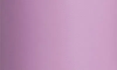 Stanley The Quencher H2.0 Flowstate™ 30-ounce Tumbler In Lilac