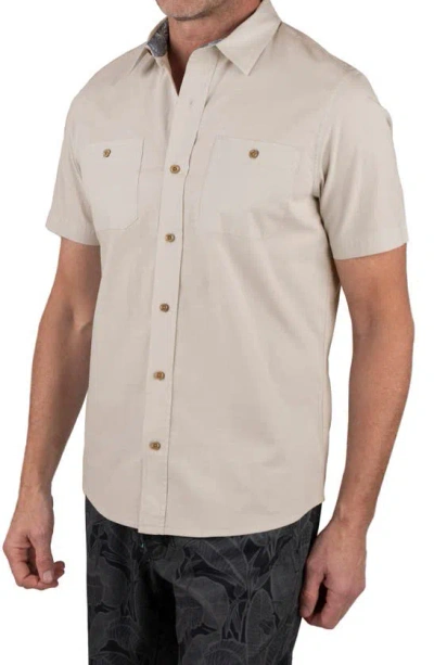 Shop Tailor Vintage Collared Button-down Shirt In Summer Khaki