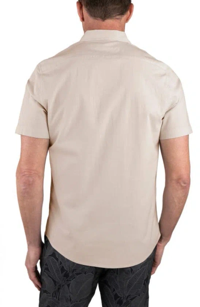 Shop Tailor Vintage Collared Button-down Shirt In Summer Khaki