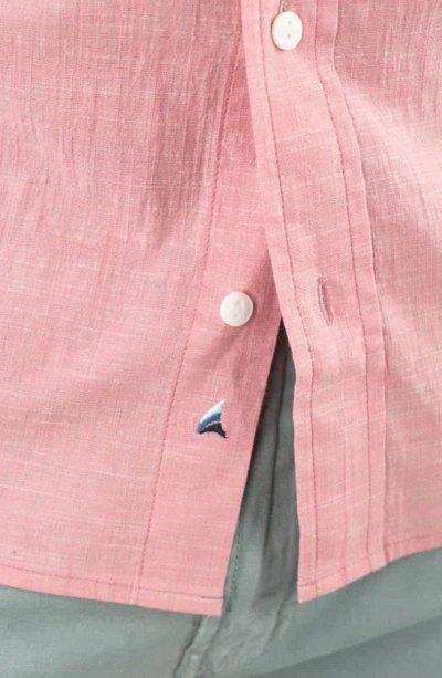 Shop Tailor Vintage Collared Button-down Shirt In Dusty Rose