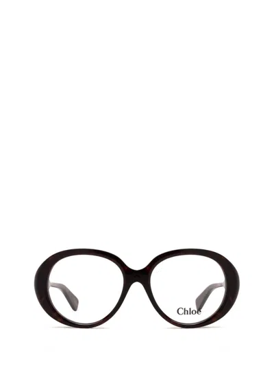 Shop Chloé Eyeglasses In Havana