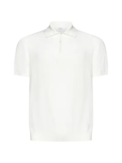 Shop Malo T-shirts And Polos In White