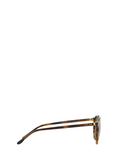 Shop Polo Ralph Lauren Sunglasses In Shiny Beige Tortoise