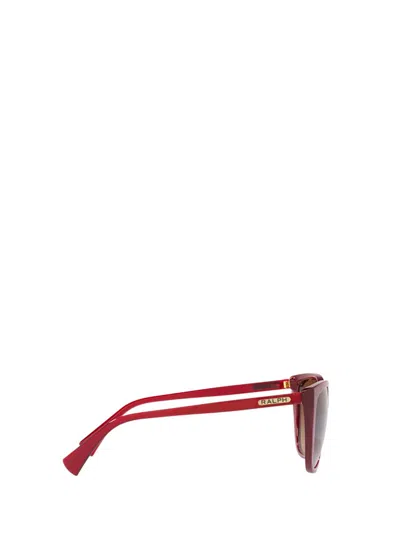 Shop Ralph Lauren Sunglasses In Transparent Bordeaux