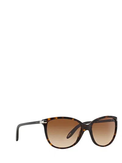 Shop Ralph Lauren Sunglasses In Shiny Dark Tortoise
