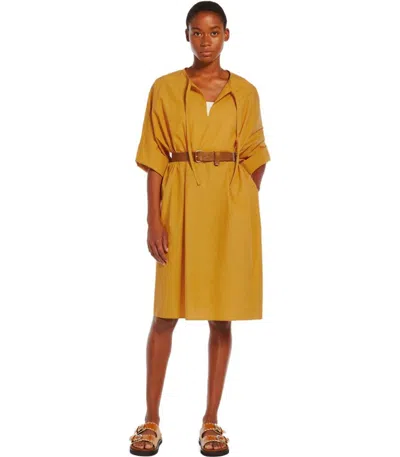 Shop Weekend Max Mara Caro Ocher Dress In Yellow