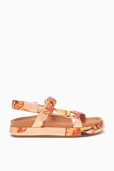 Shop Ulla Johnson Astra Sport Sandal In Copper Floral