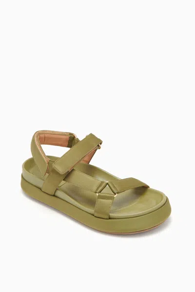 Shop Ulla Johnson Astra Sport Sandal In Olive