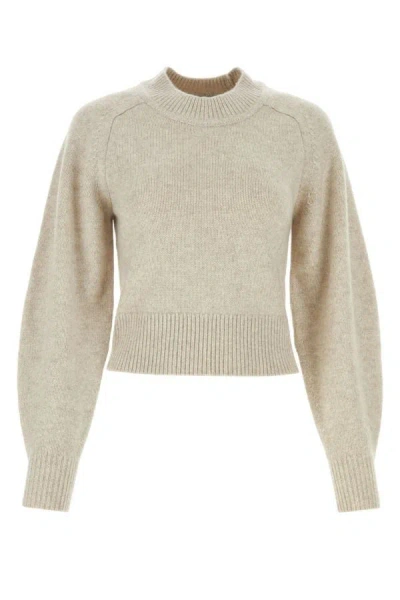 Shop Isabel Marant Woman Sand Cotton Blend Leandra Sweater In Brown