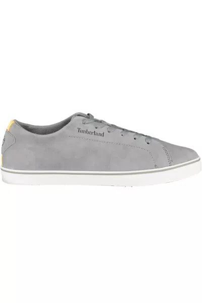 Shop Timberland Gray Leather Sneaker