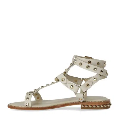 Ash Pulp Studded Ankle-strap Sandals In Beige