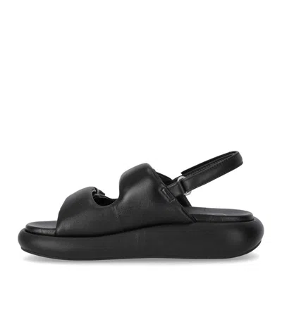 Shop Ash Vinci Black Platform Sandal