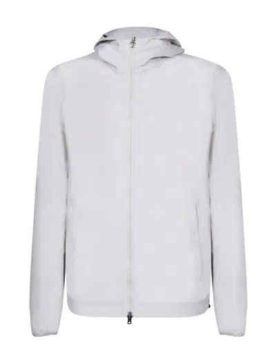 Shop Herno Coats Grey