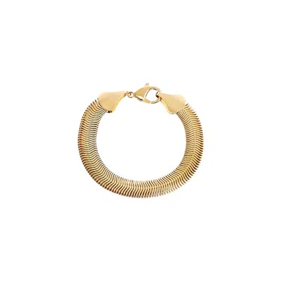 Shop Adina Eden Flat Snake Chain Bracelet In Gold