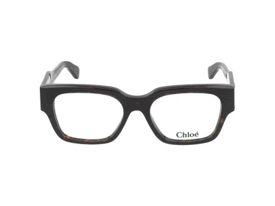 Shop Chloé Eyeglasses In Havana Havana Transparent