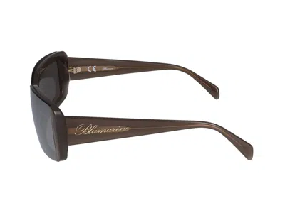 Shop Blumarine Sunglasses In Shiny Opaline Chestnut