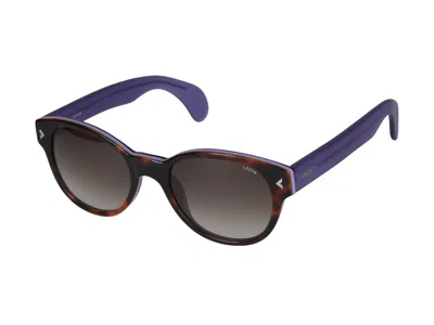 Shop Lozza Sunglasses In Shiny Havana/purple