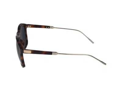 Shop Lozza Sunglasses