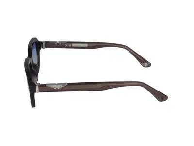 Shop Police Sunglasses In Brown Transparent