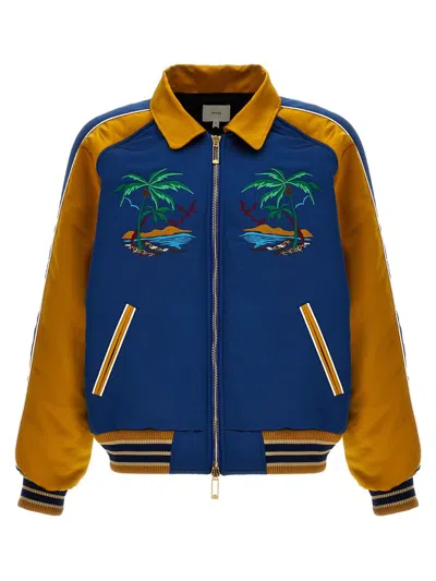 Shop Rhude 'palm Eagles Souvenir' Bomber Jacket In Multicolor