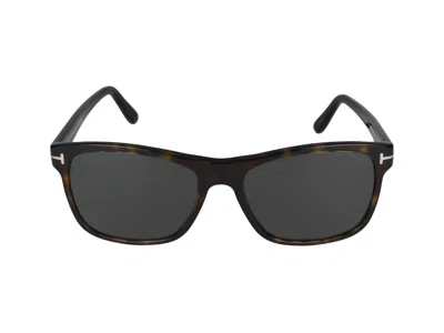 Shop Tom Ford Sunglasses In Dark Havana/smoke Polar